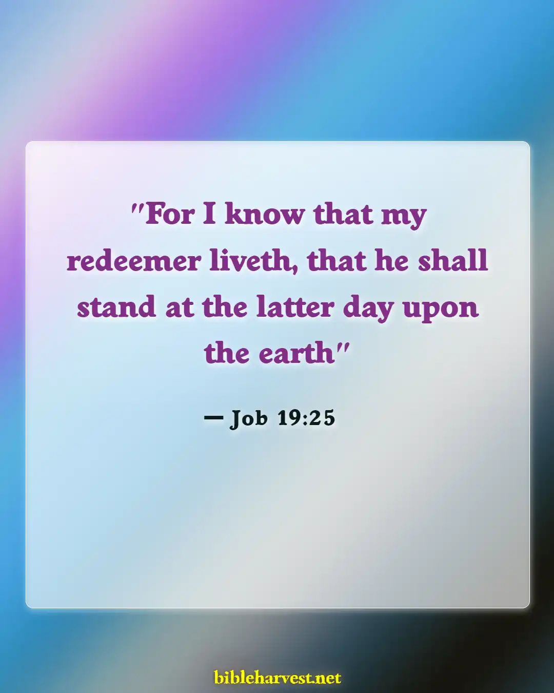 Bible Verses About Job Suffering (Job 19:25)