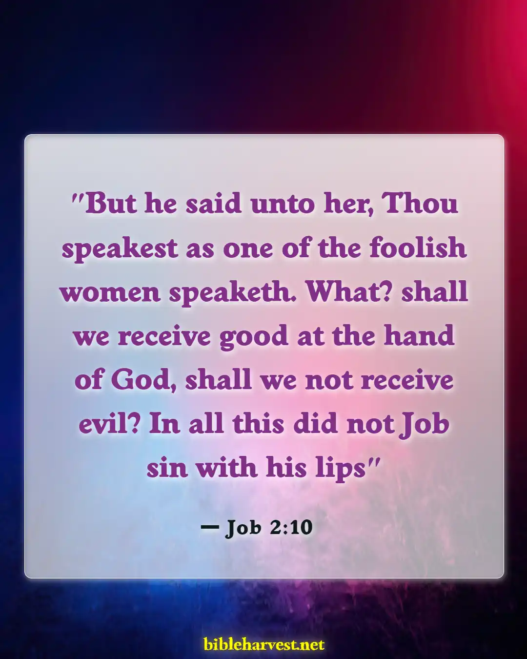 Bible Verses About Patience And Perseverance (Job 2:10)