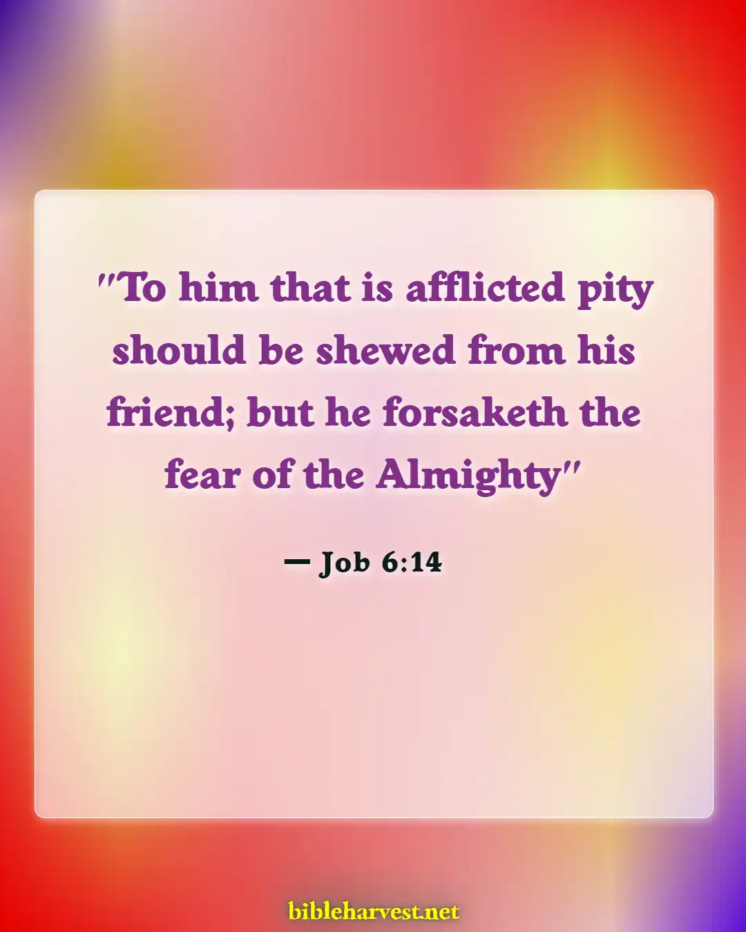 Bible Verses About Hurt By Friends (Job 6:14)