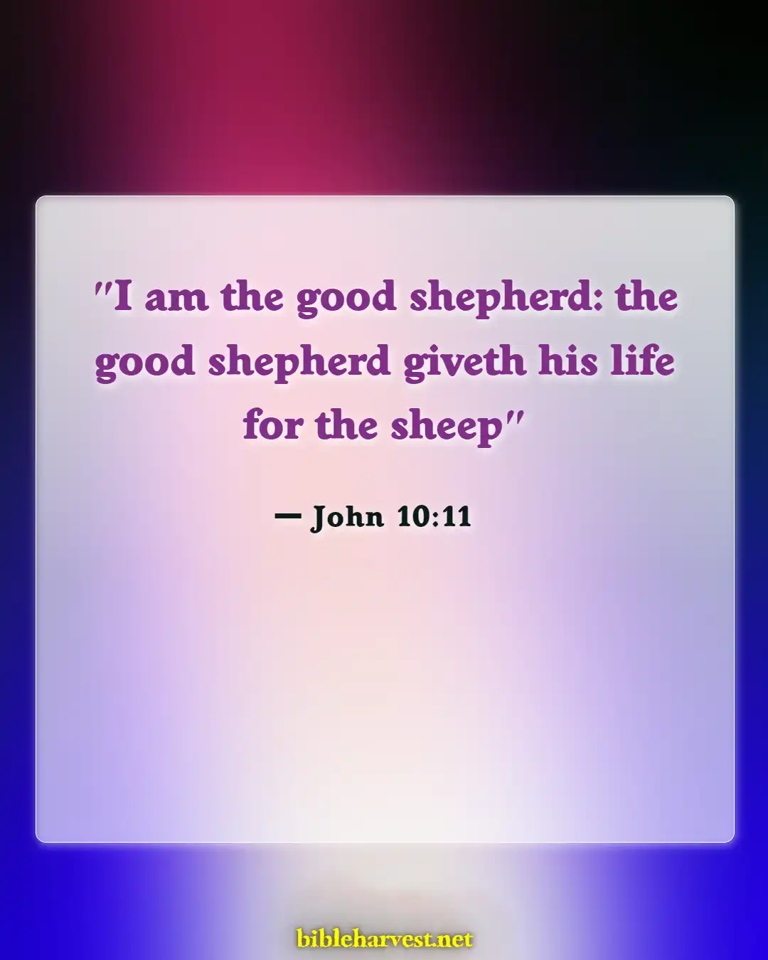 Bible Verses About Love Of Jesus Christ (John 10:11)