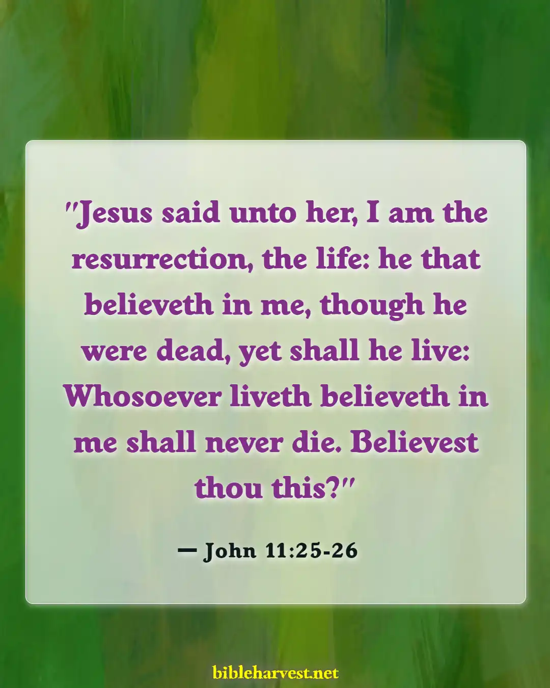 Bible Verses About Celebrating Life After Death (John 11:25-26)