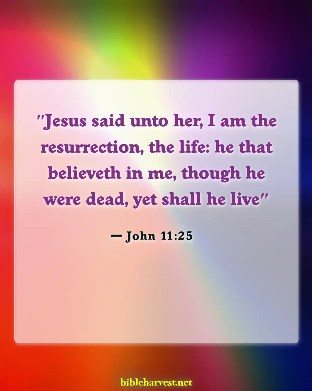 Bible Verses About For Eternal Life (John 11:25)