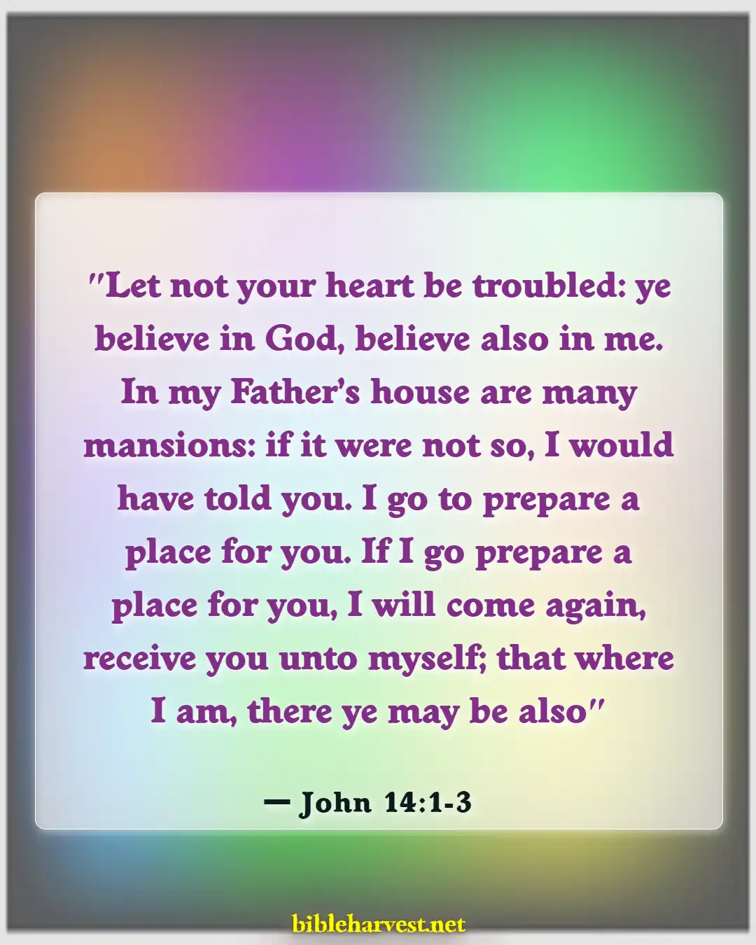 Bible Verses About Missing A Loved One (John 14:1-3)