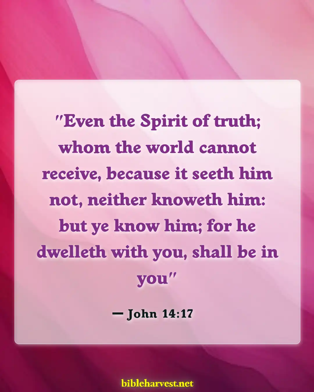 Bible Verses About Unbelievers Not Understanding (John 14:17)