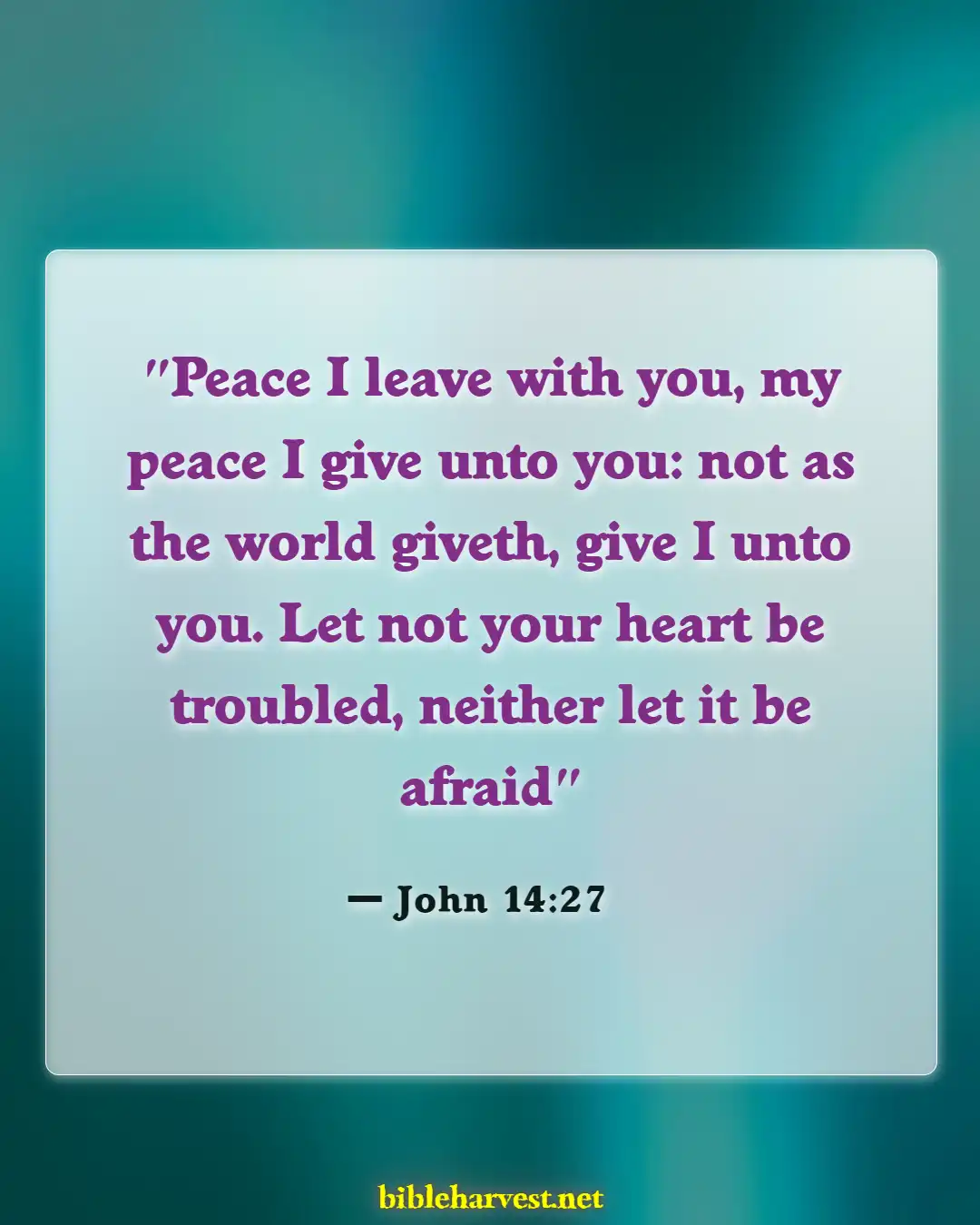 Bible Verses About Hope For The Future (John 14:27)