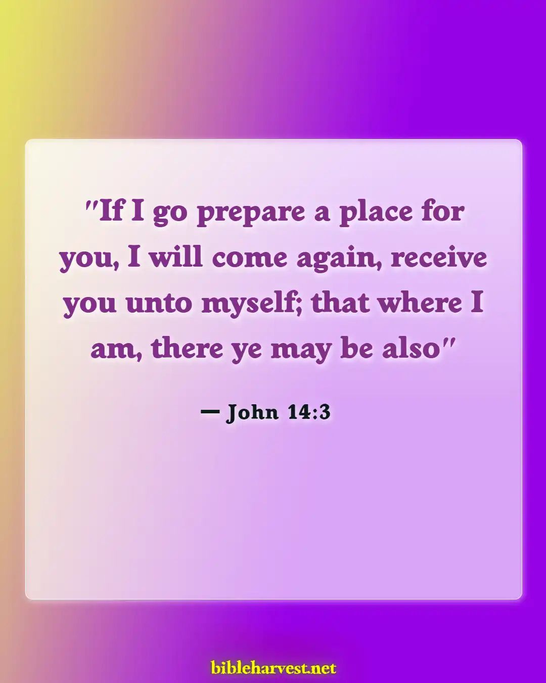 Bible Verses About Reunited With Loved Ones In Heaven (John 14:3)