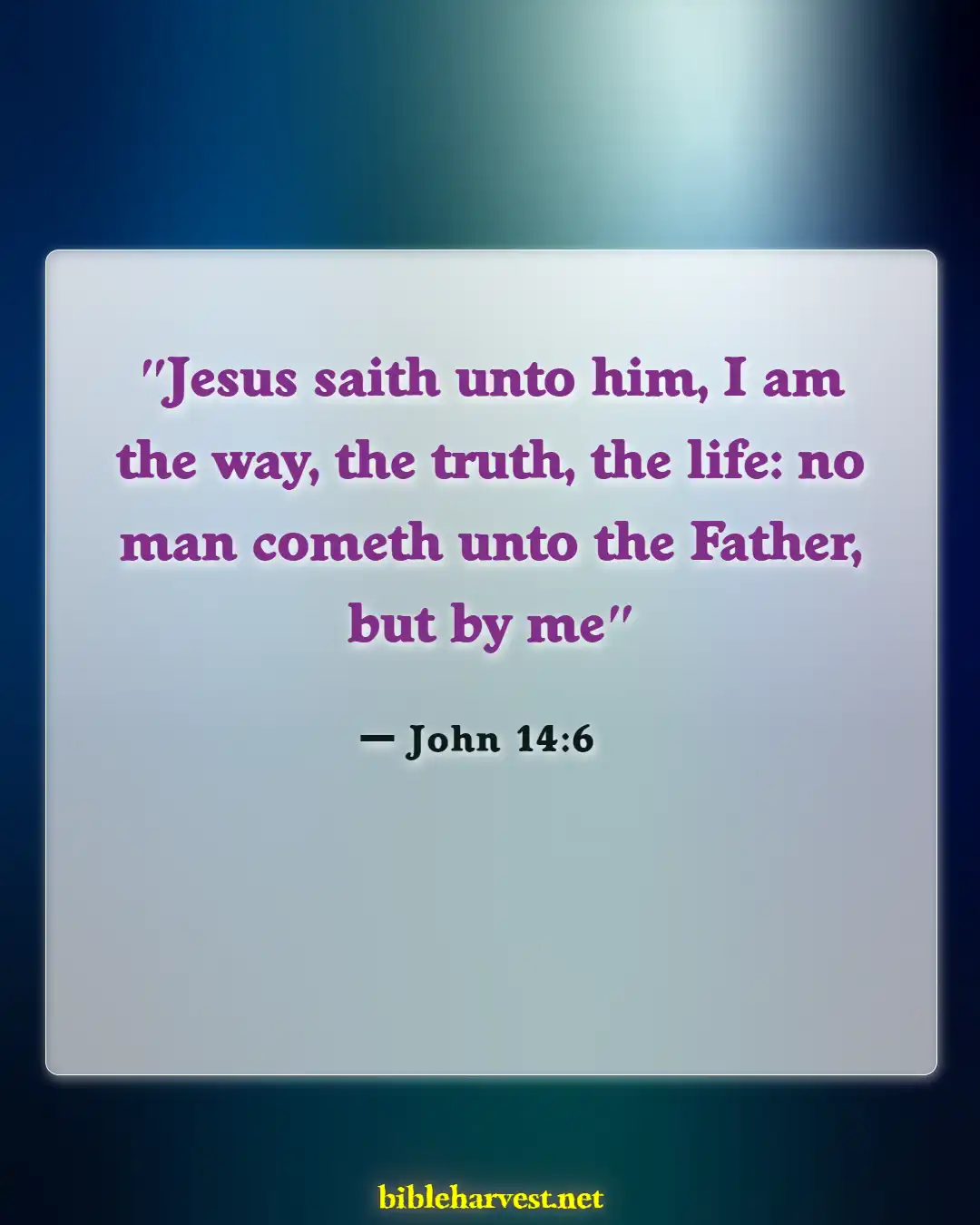 Bible Verses About Going To Heaven (John 14:6)