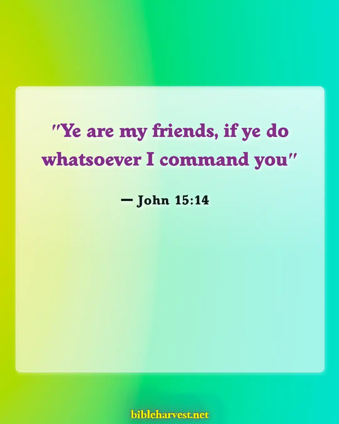 Bible Verses About Friendship With Jesus (John 15:14)