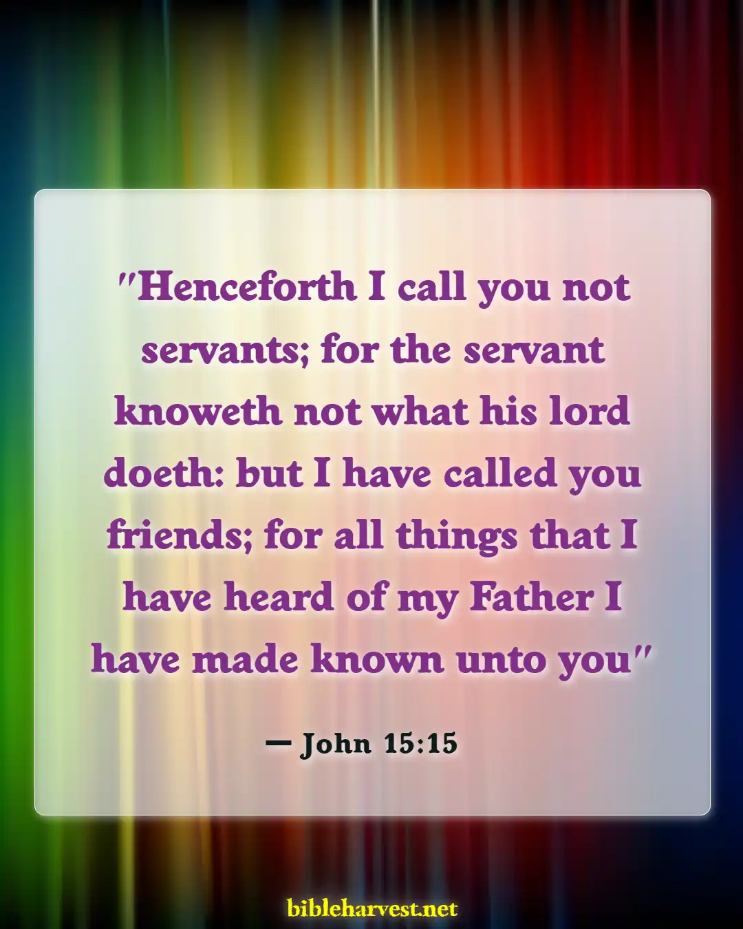 Bible Verses About Friendship With God (John 15:15)