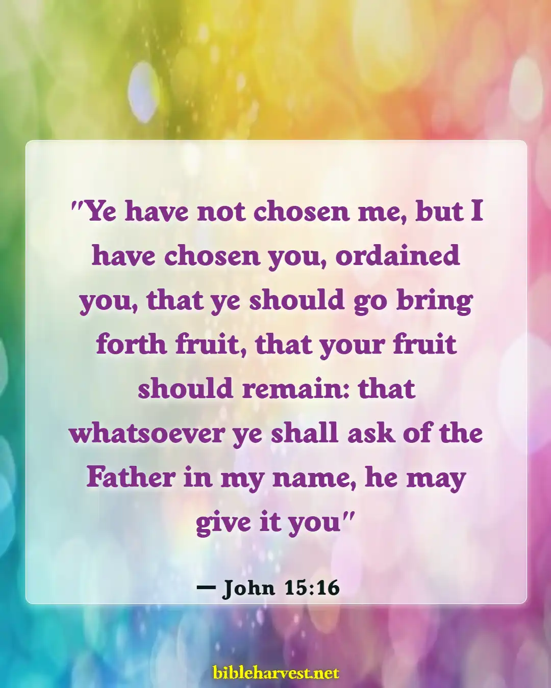 Bible Verses About Predestineds (John 15:16)