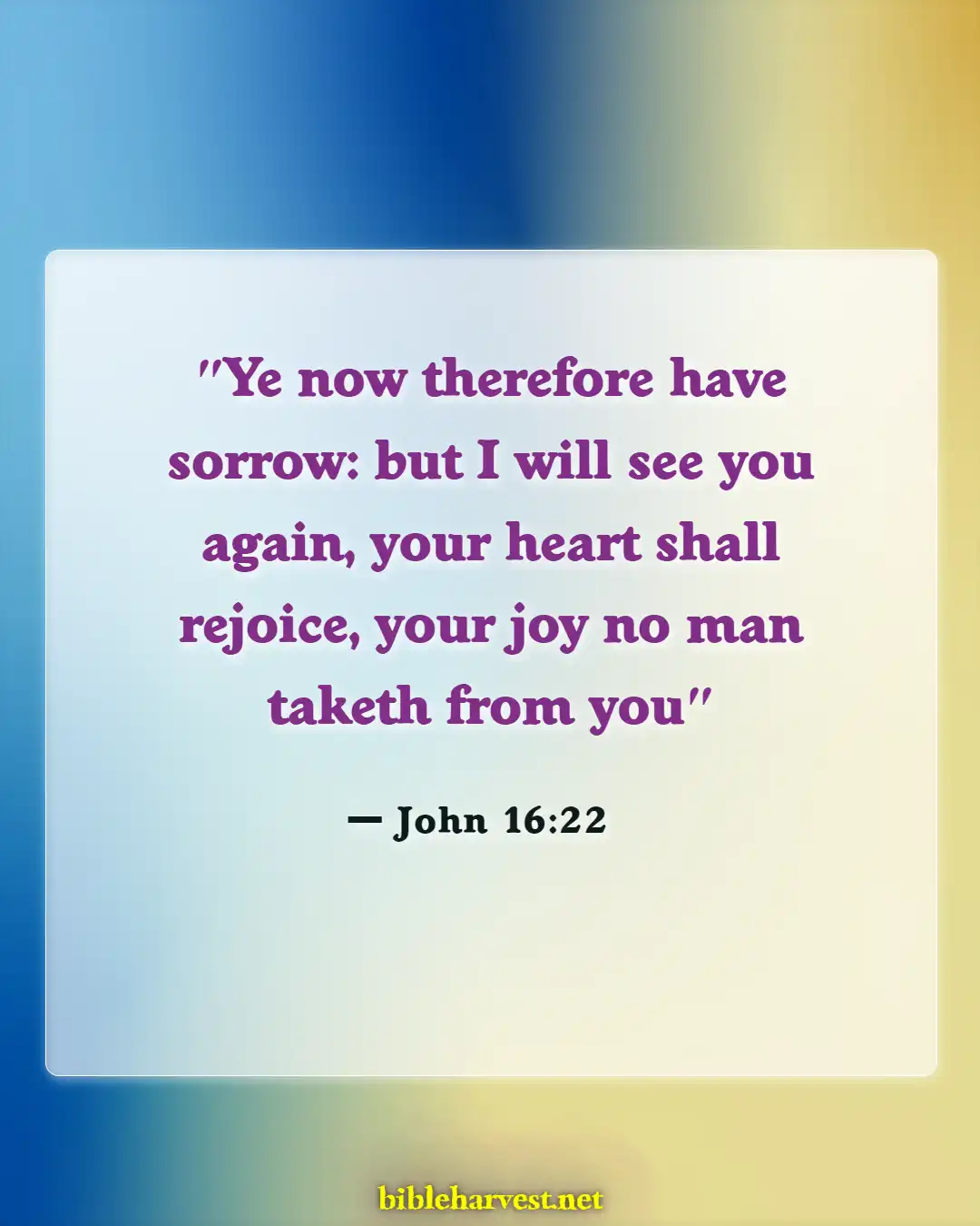 Bible Verses About Joy (John 16:22)