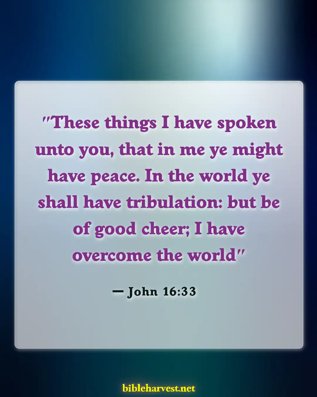 Bible Verses About Hope For The Future (John 16:33)