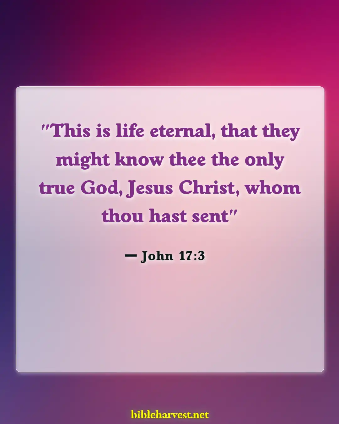 Bible Verses About For Eternal Life (John 17:3)