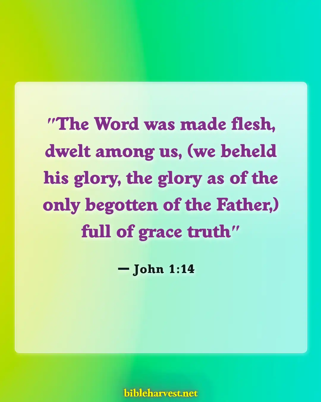 Bible Verses About Christmass (John 1:14)