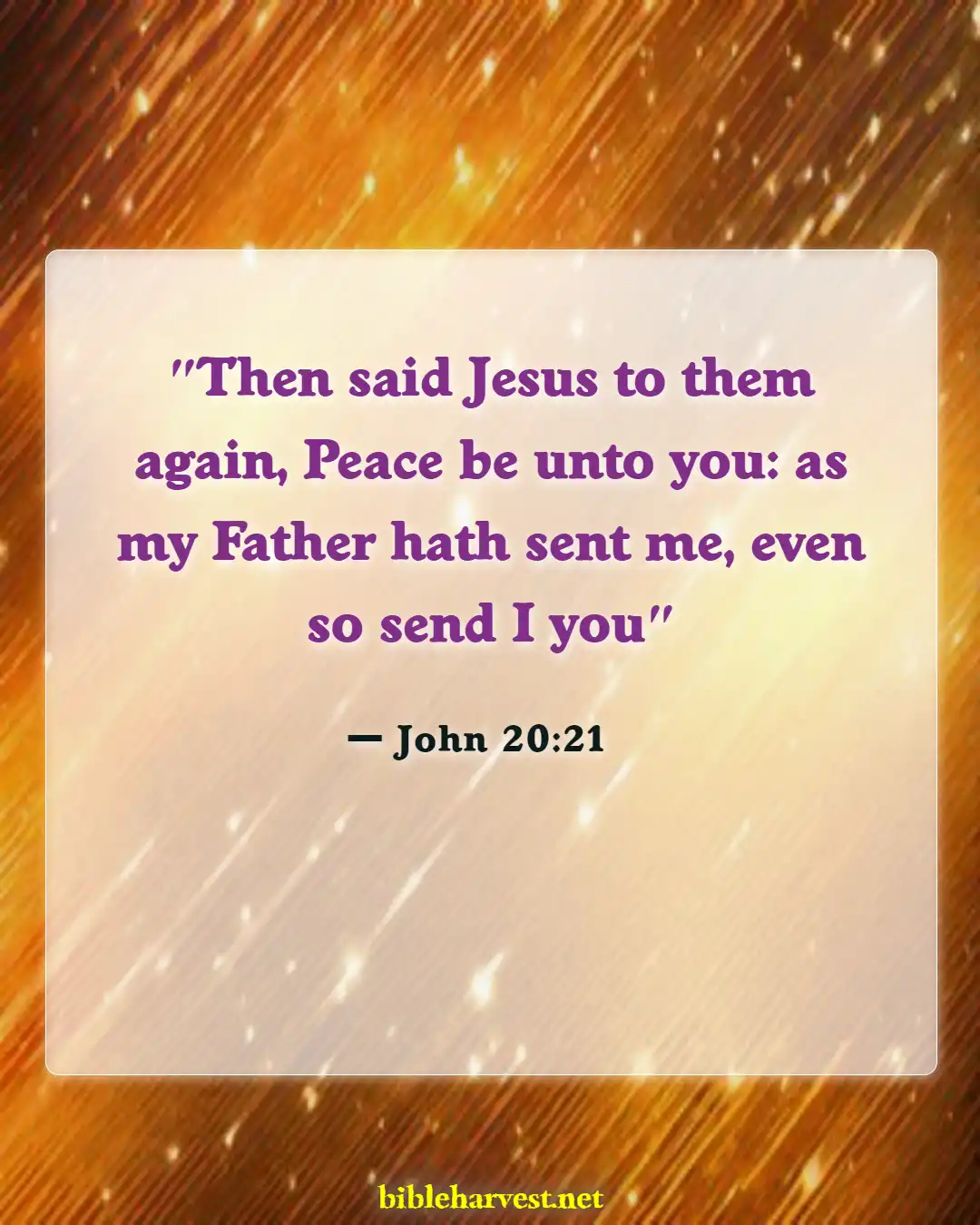 Bible Verses About Mission And Vision (John 20:21)