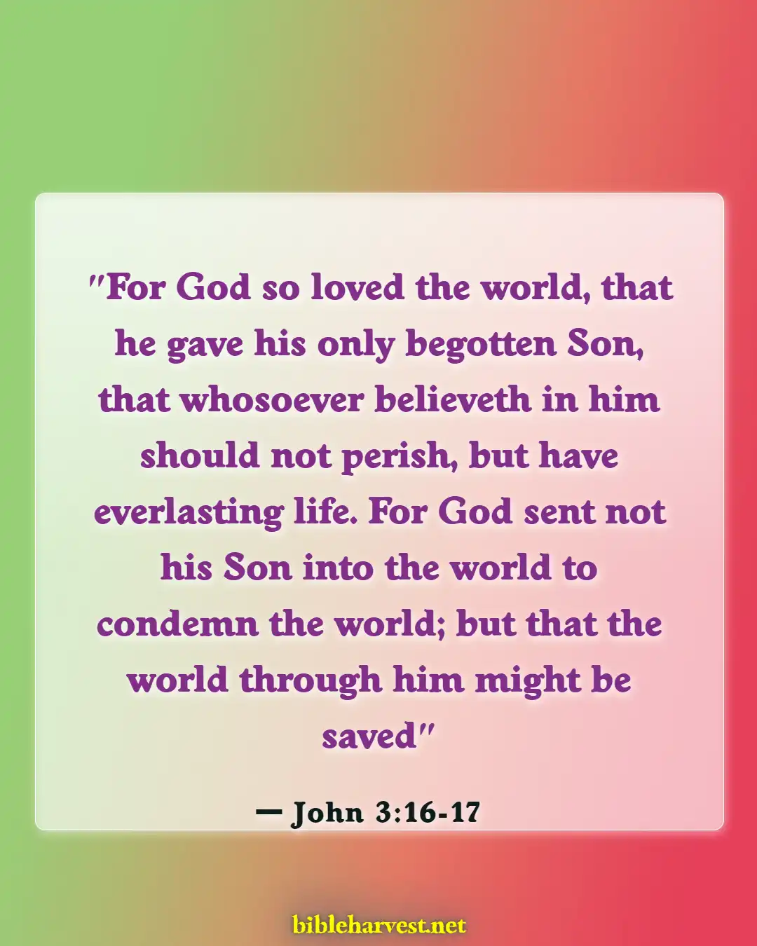 Bible Verses About Mission And Outreach (John 3:16-17)