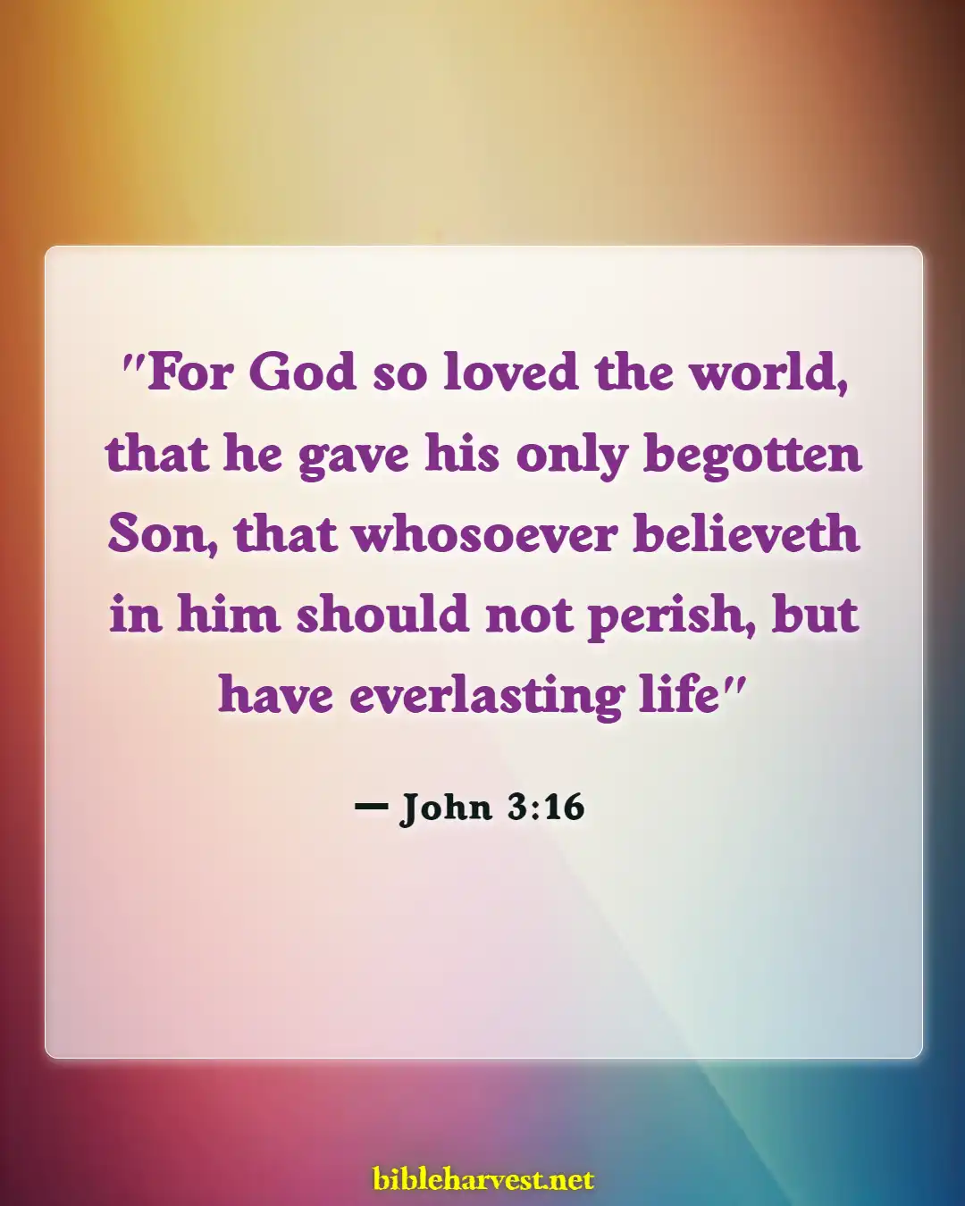 Bible Verses About For Eternal Life (John 3:16)