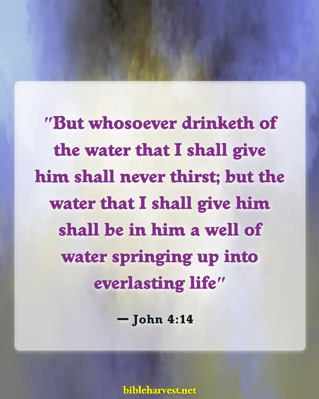 Bible Verses About For Eternal Life (John 4:14)