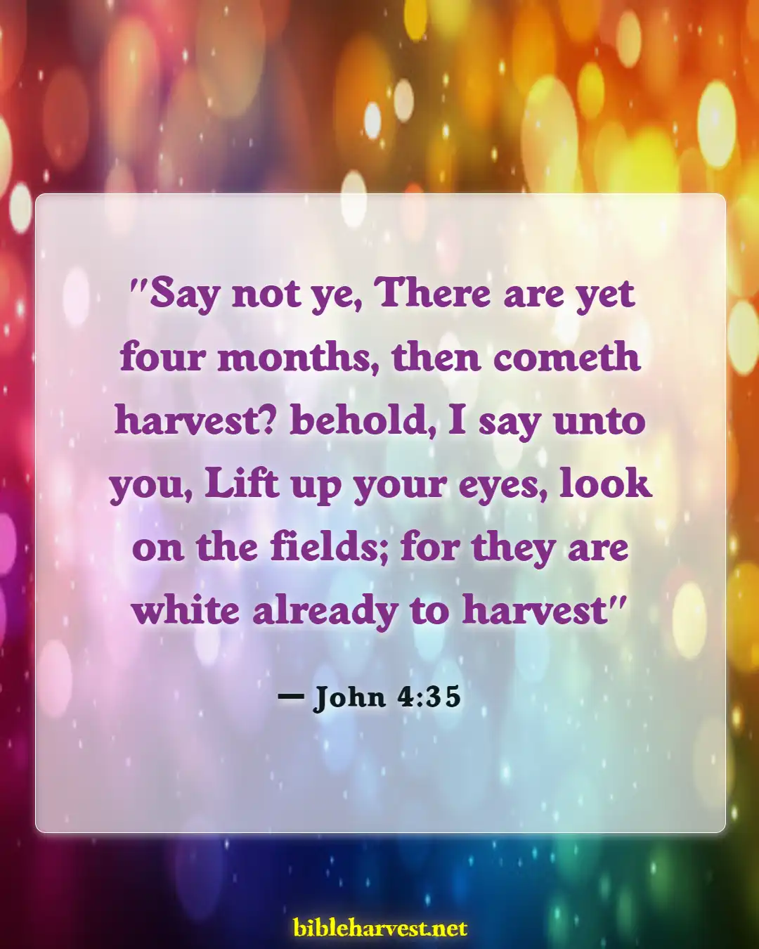 Bible Verses About Time For Everything (John 4:35)