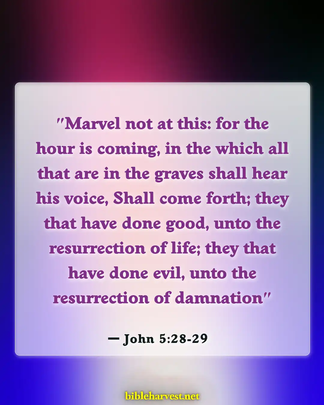 Bible Verses About Heaven And Hell (John 5:28-29)