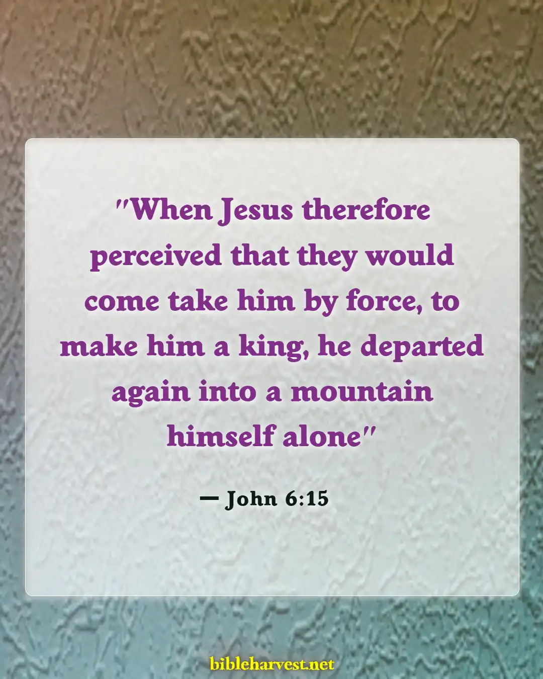 Bible Verses About Mountains (John 6:15)
