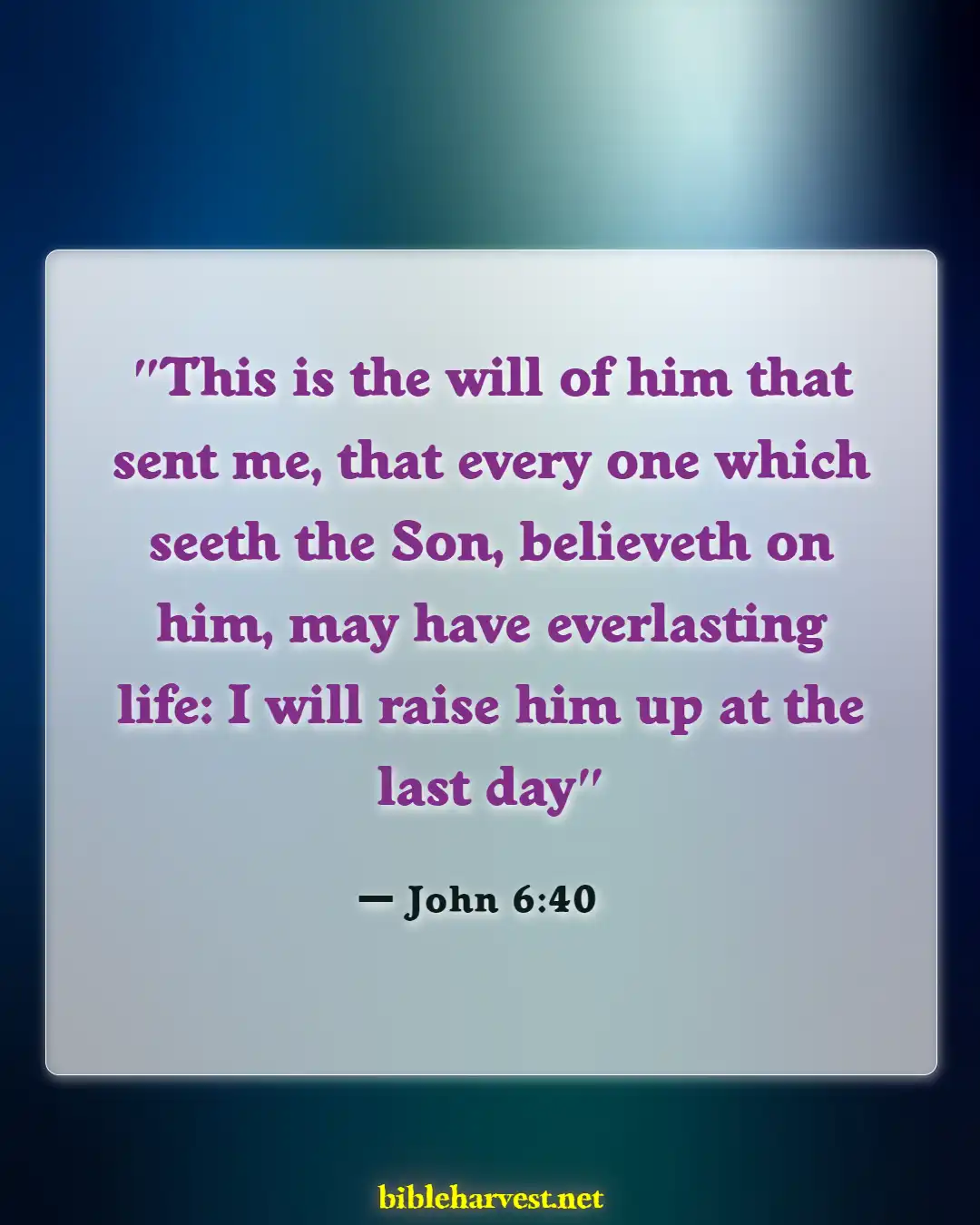 Bible Verses About For Eternal Life (John 6:40)