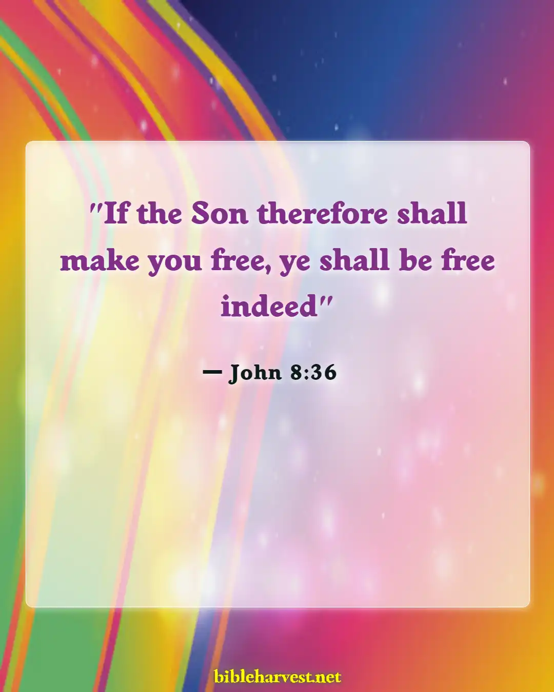 Bible Verses About Curses And Blessings (John 8:36)