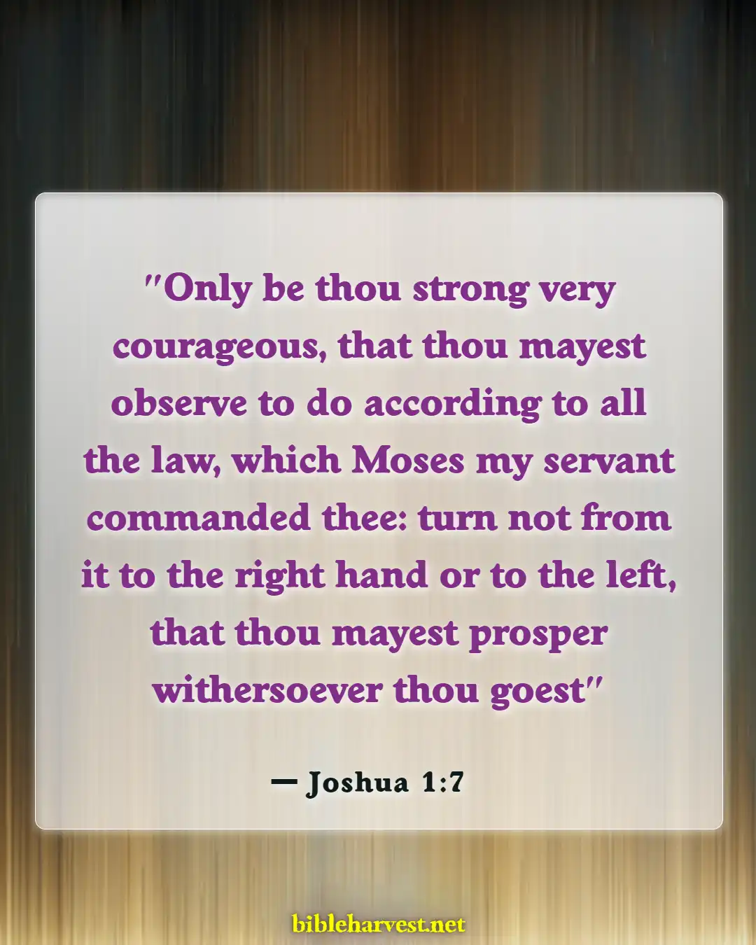 Bible Verses About Encouragement And Strength (Joshua 1:7)