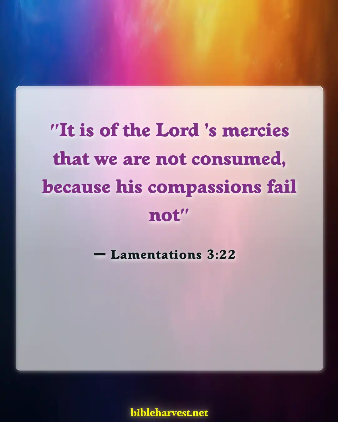 Bible Verses About Pain And Suffering (Lamentations 3:22)