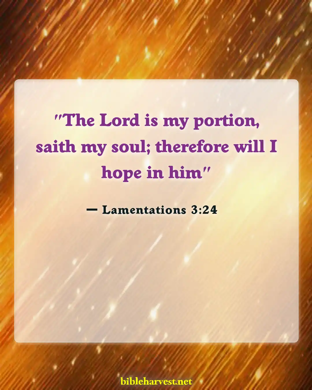 Bible Verses About Hope (Lamentations 3:24)