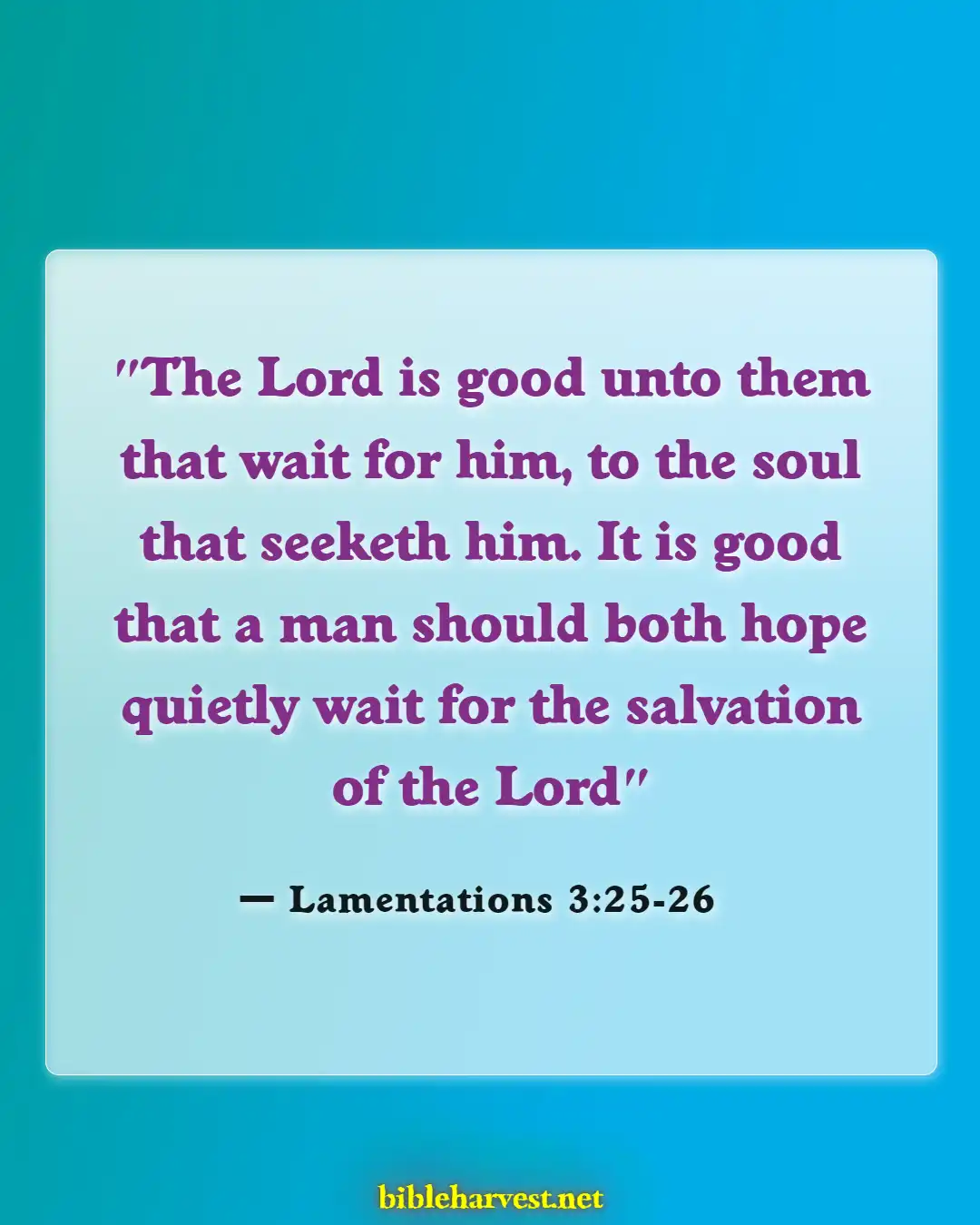 Bible Verses About God's Timing (Lamentations 3:25-26)