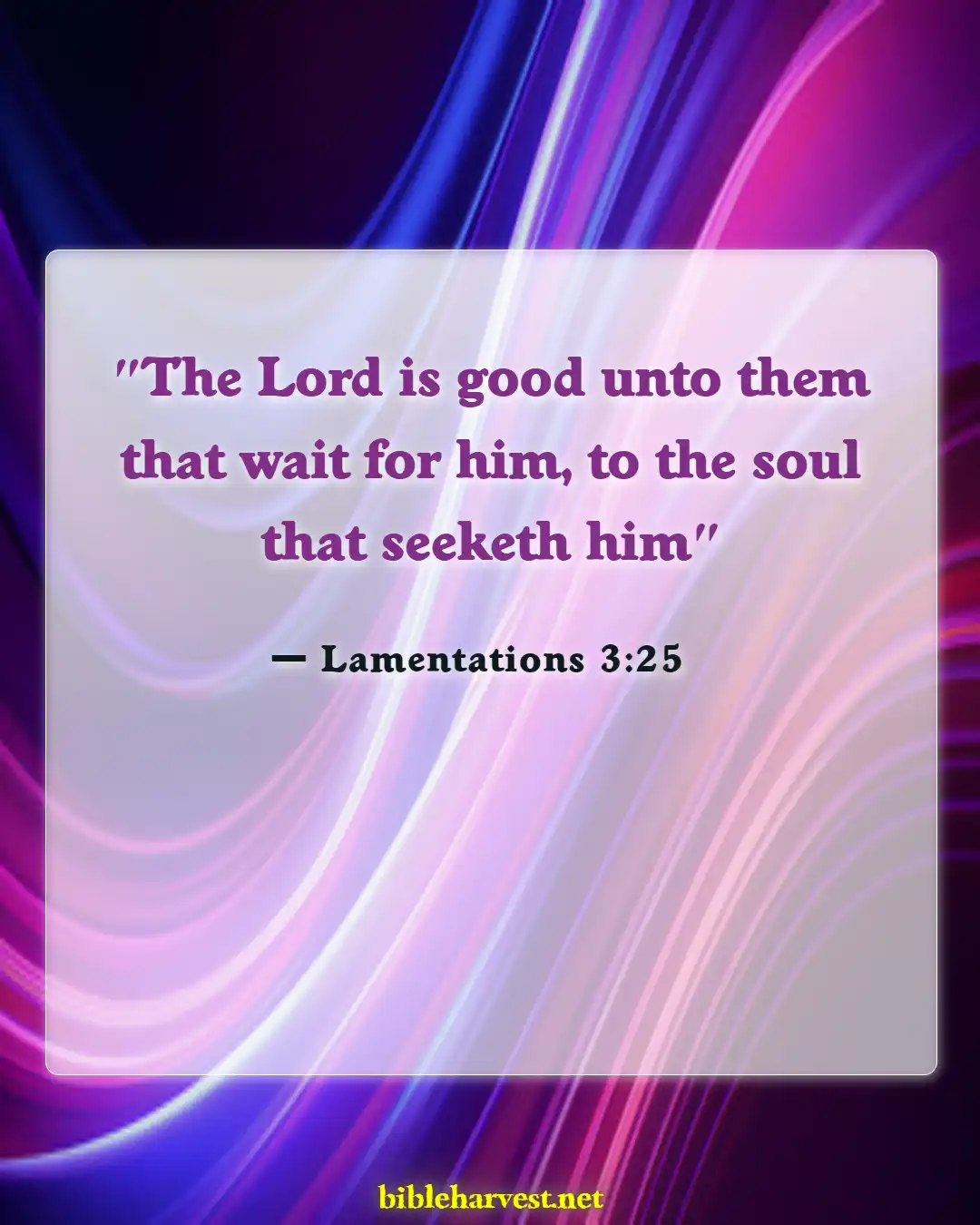 Bible Verses About Hope Patience For Good Blessed (Lamentations 3:25)
