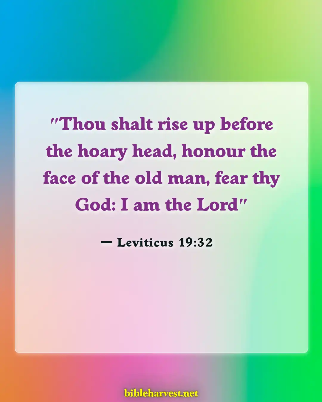 Bible Verses About Grandparents And Grandchildren (Leviticus 19:32)