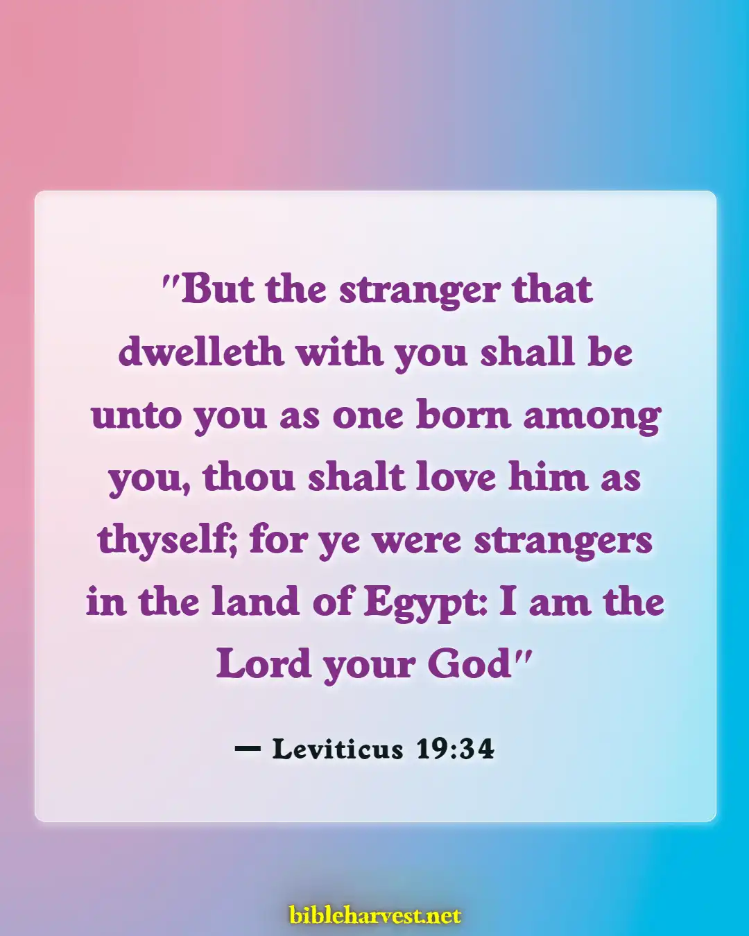 Bible Verses About Cultural Diversity (Leviticus 19:34)