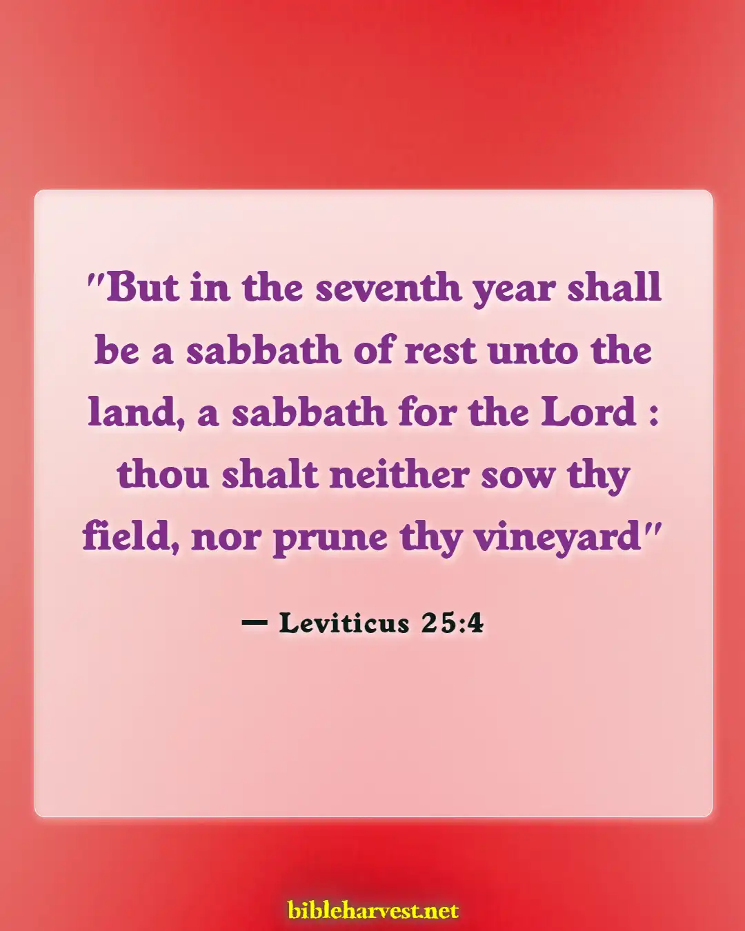 Bible Verses About Farming (Leviticus 25:4)