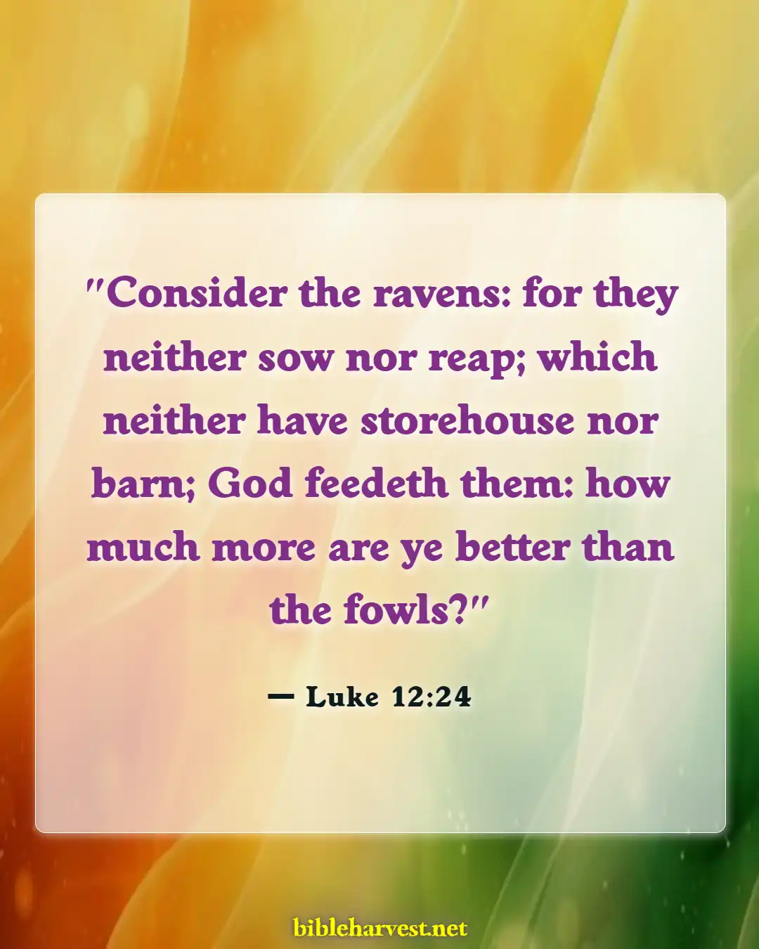 Bible Verses About Dependence On Gods (Luke 12:24)