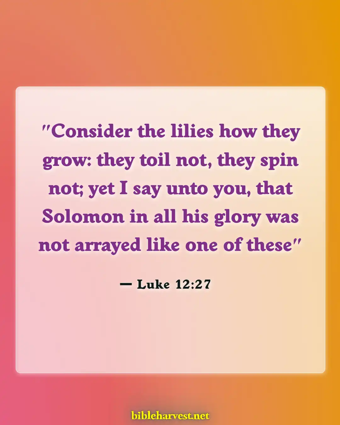 Bible Verses About Flowers Blooming (Luke 12:27)