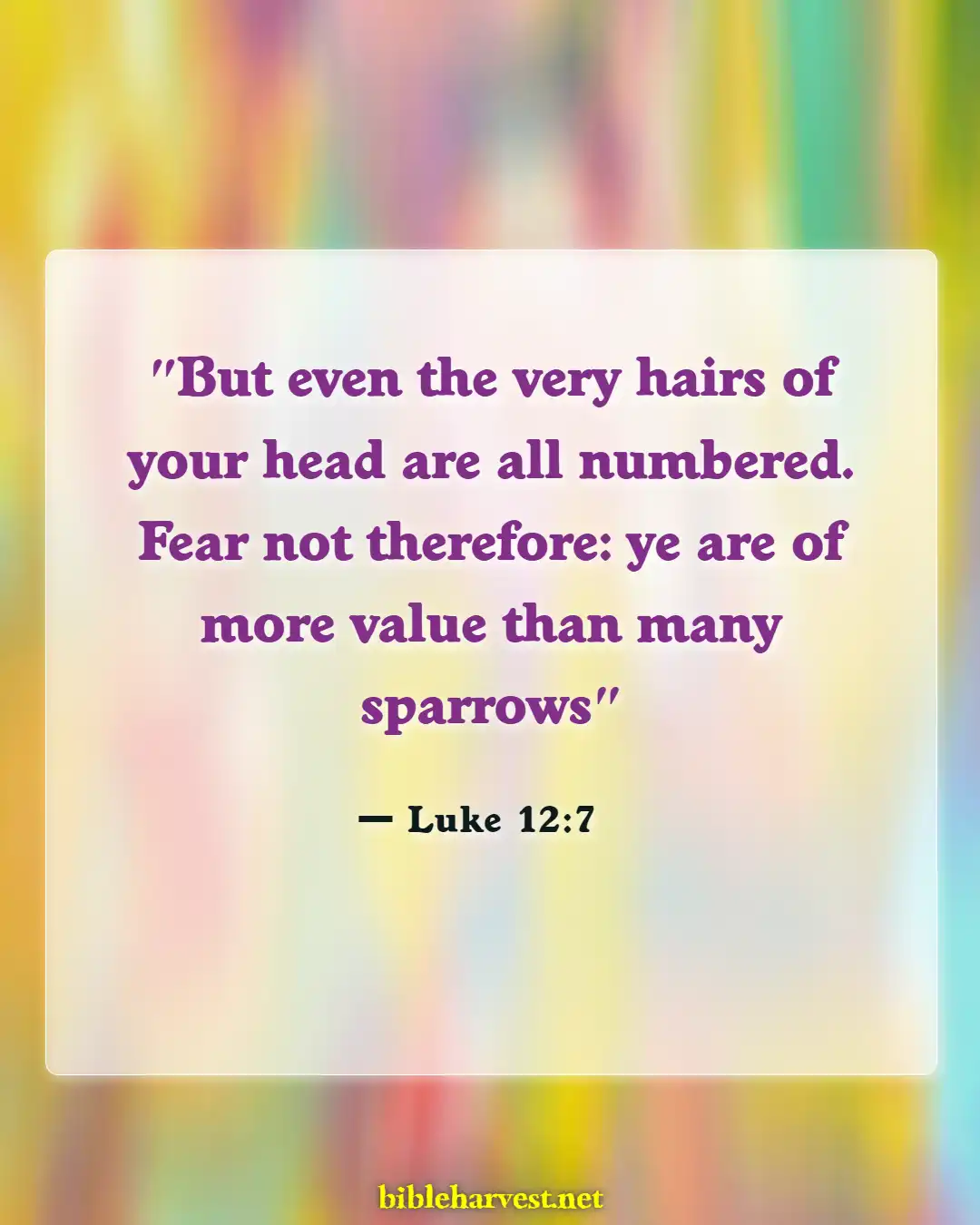 Bible Verses About Thankful For The Little Things (Luke 12:7)