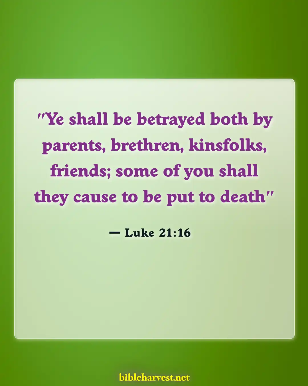 Bible Verses About Betrayal (Luke 21:16)
