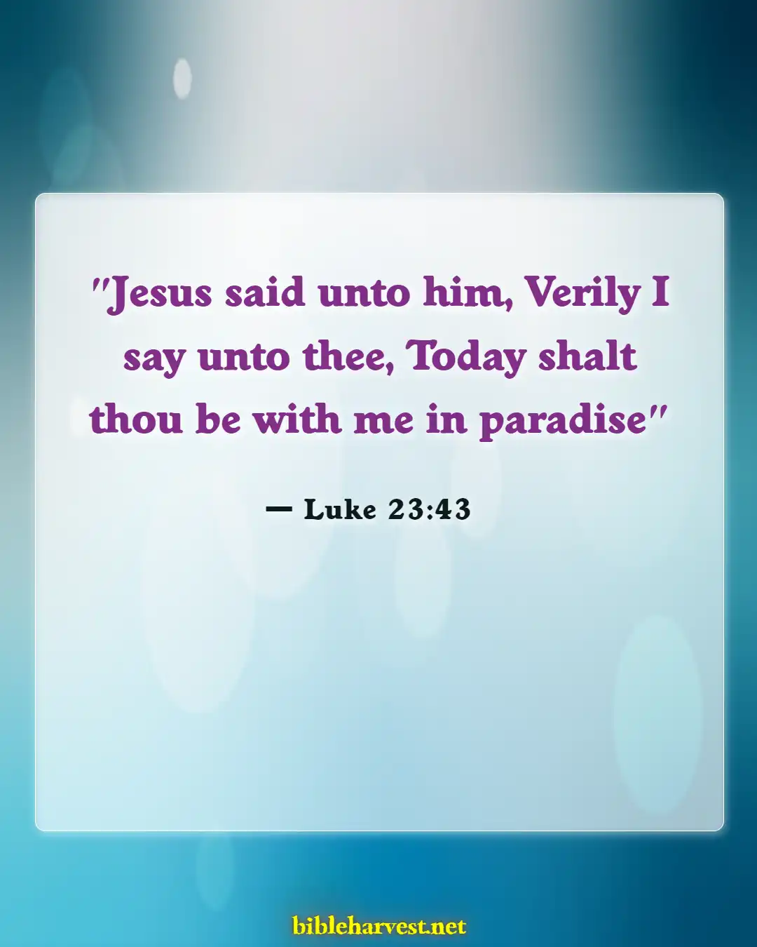 Bible Verses About Reunited With Loved Ones In Heaven (Luke 23:43)