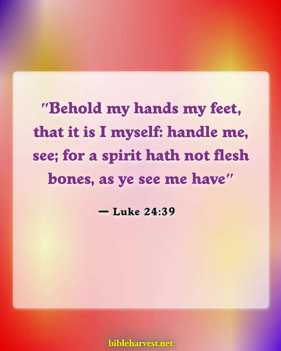 Bible Verses About Jesus (Luke 24:39)