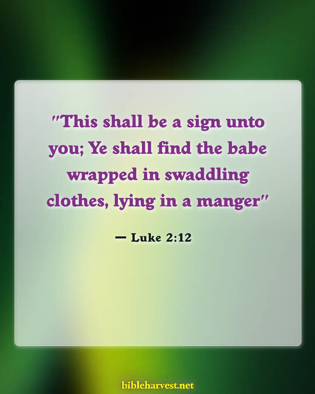 Bible Verses About Christmass (Luke 2:12)