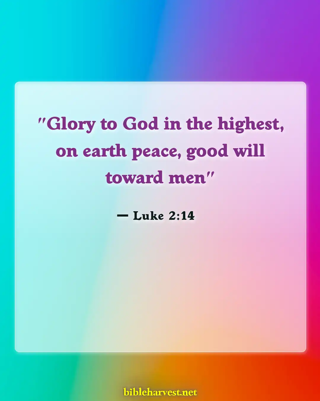 Bible Verses About Christmass (Luke 2:14)