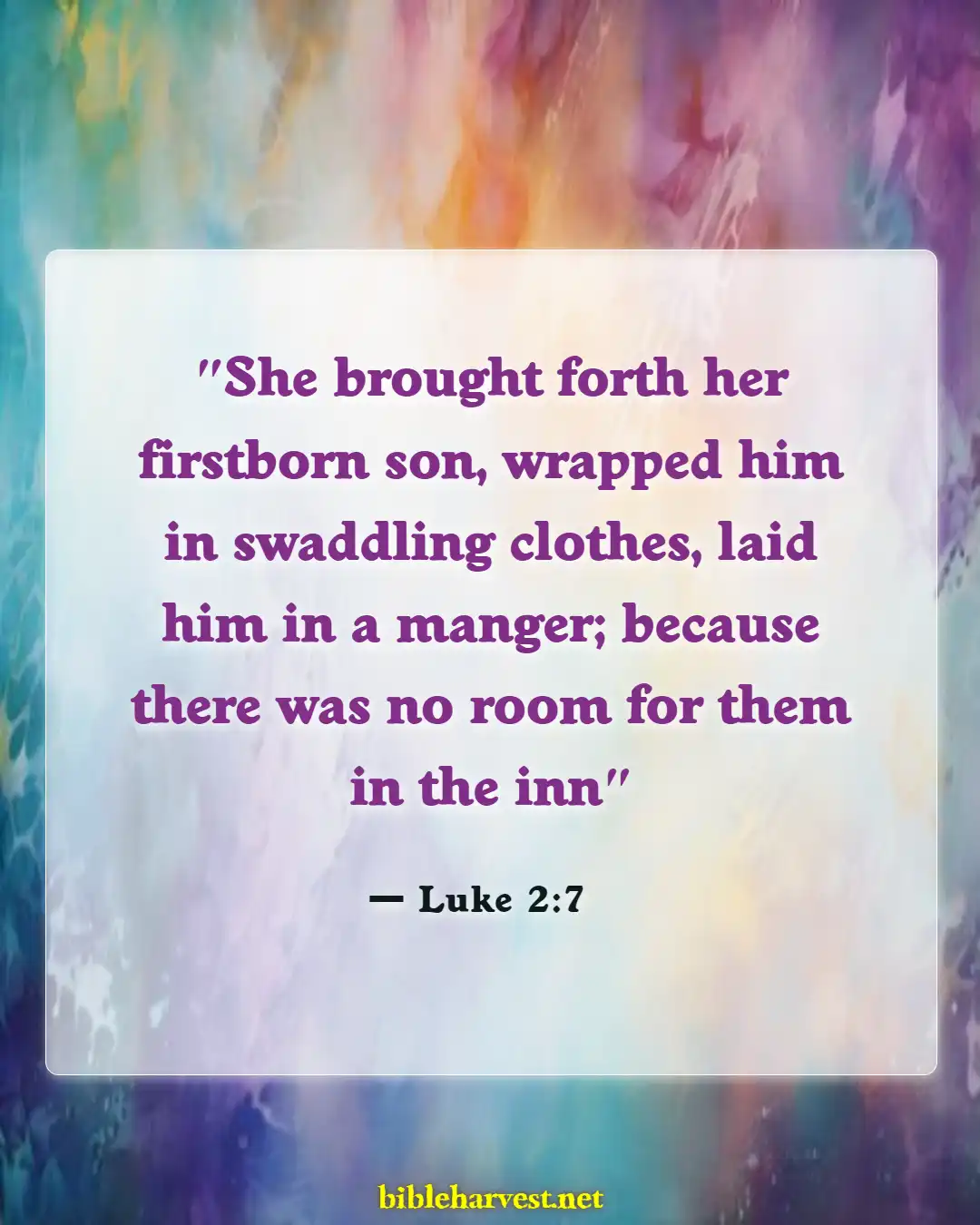 Bible Verses About Christmass (Luke 2:7)