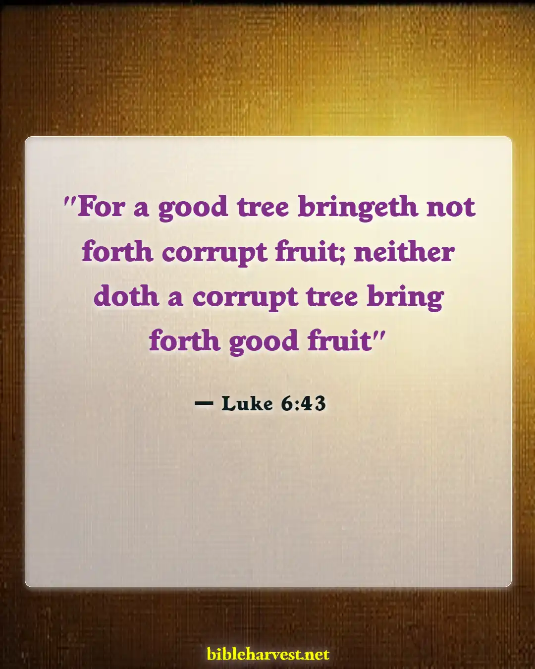Bible Verses About Trees (Luke 6:43)