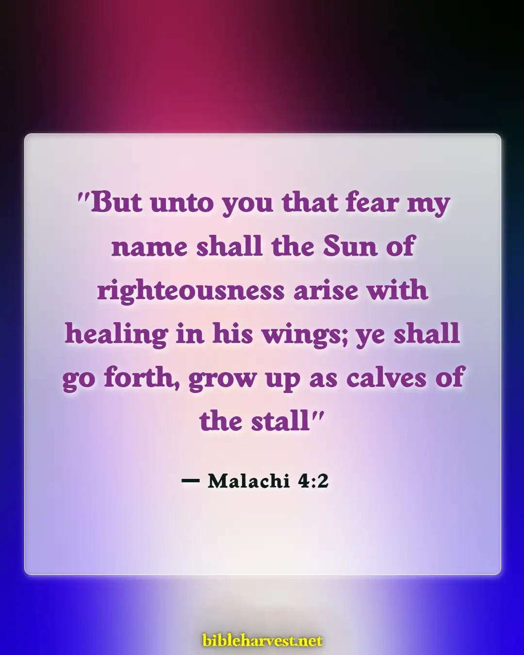 Bible Verses About Sun (Malachi 4:2)