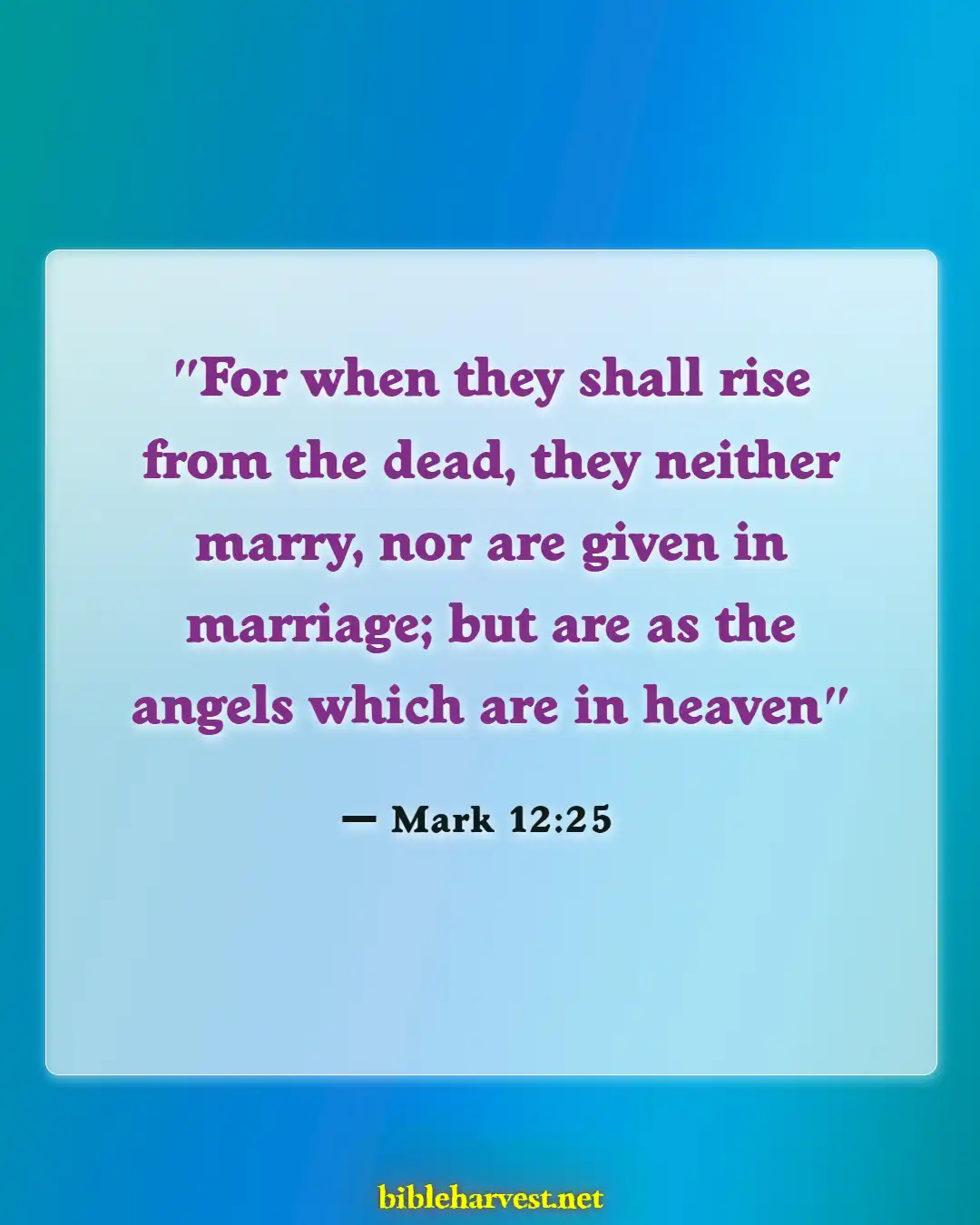 Bible Verses About Husband And Wife Reunited In Heaven (Mark 12:25)