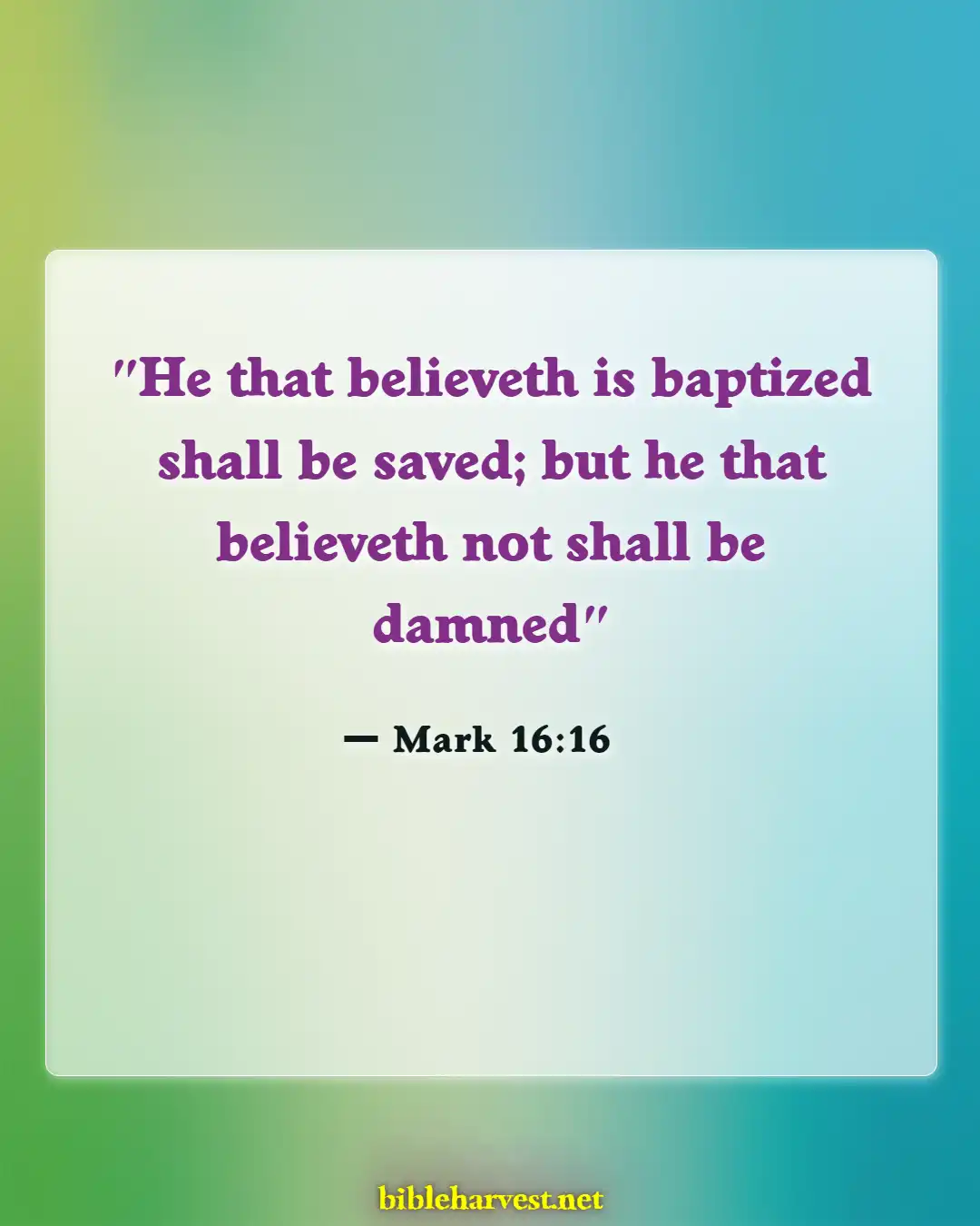 Bible Verses About Sacrament Of Baptism (Mark 16:16)