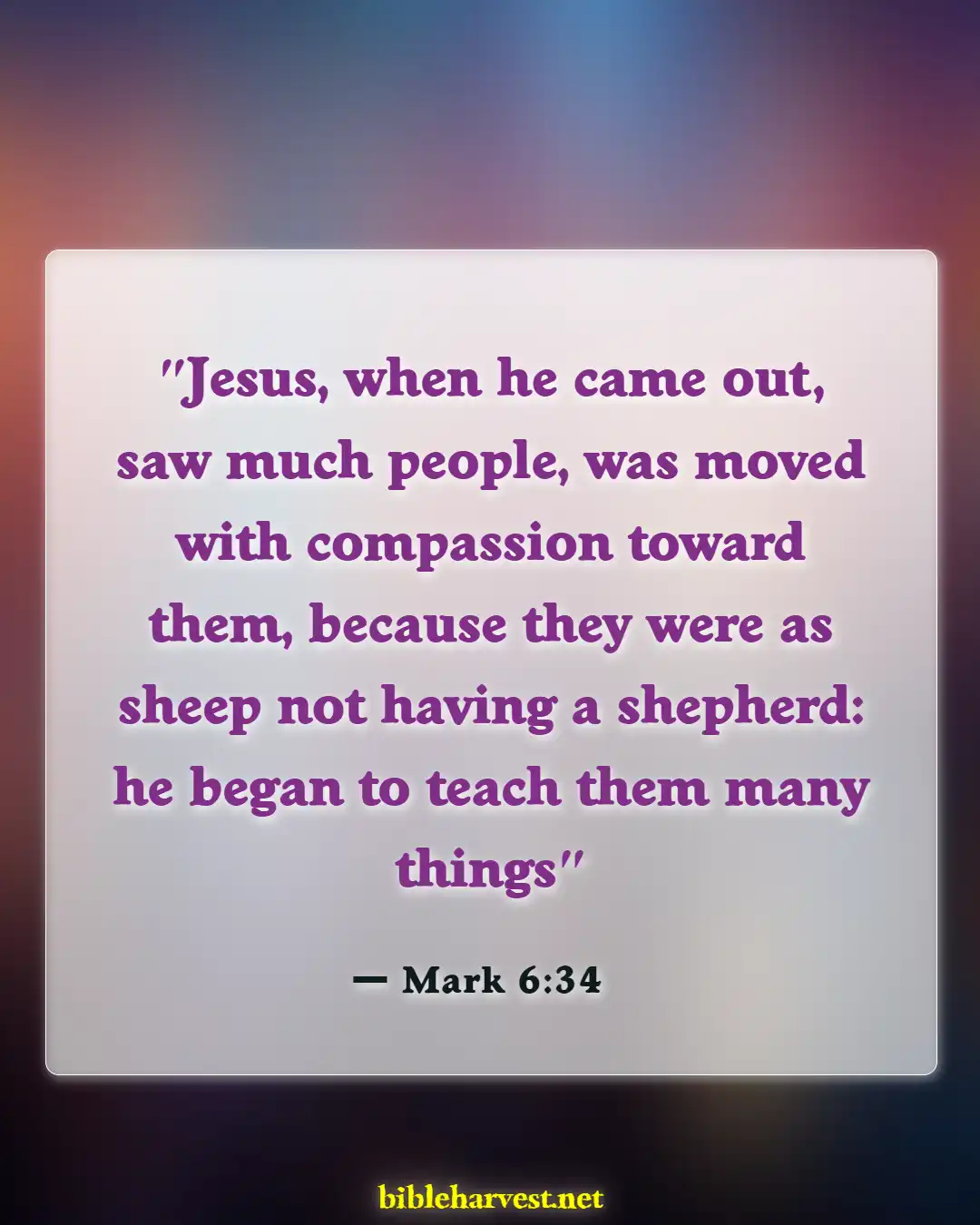 Bible Verses About Compassion (Mark 6:34)
