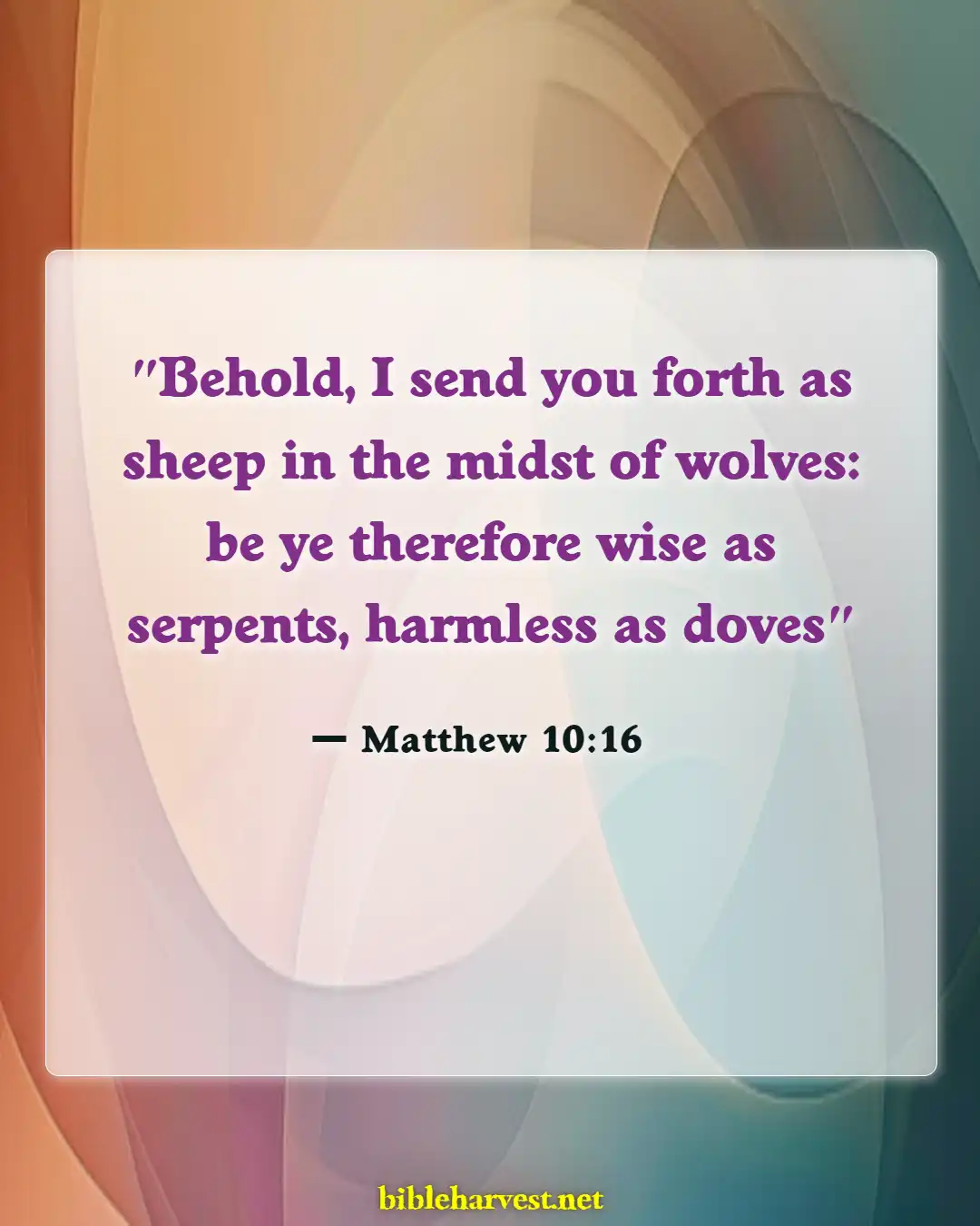 Bible Verses About Someone Taking Advantage Of You (Matthew 10:16)
